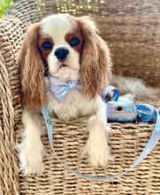 Load image into Gallery viewer, Sunshade Dog Collar