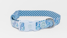 Load image into Gallery viewer, Blue Oyster Dog Collar