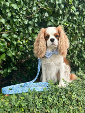 Load image into Gallery viewer, Blue Oyster Leash